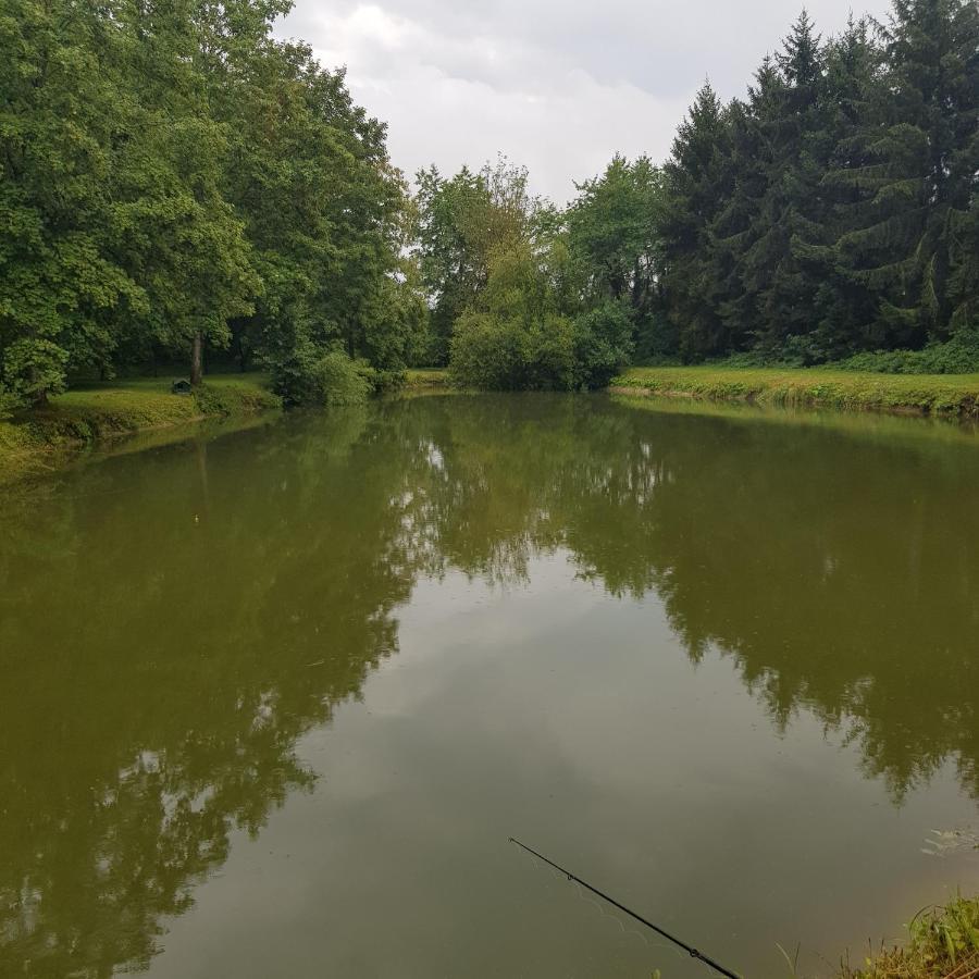 Sur La Route De Champ Colin Saint-Denis-lès-Rebais Exterior foto